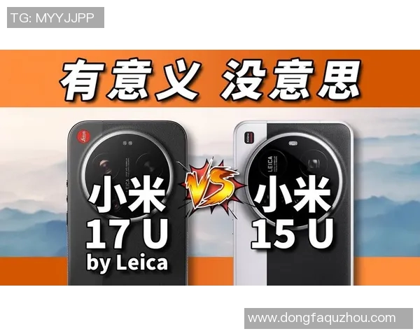 15与17的对比分析17与18的性能差异与应用场景探讨