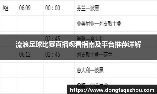 流浪足球比赛直播观看指南及平台推荐详解